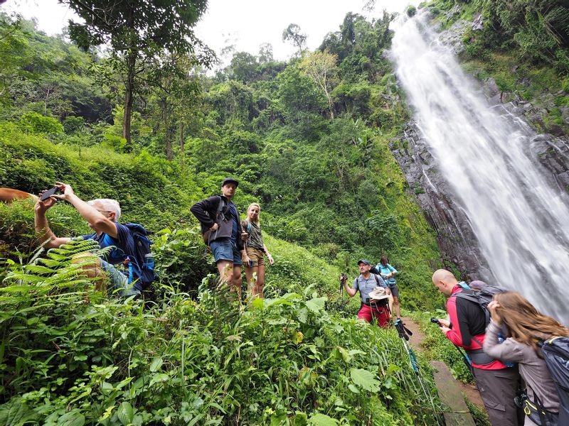 Moshi Private Tour - Our clients hiking across Materuni waterfalls