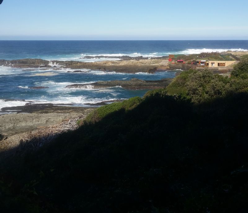 Cape Town Private Tour - Tsitsikamma National park