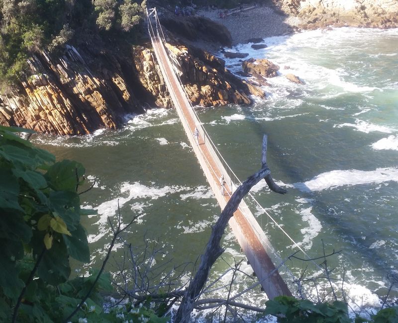 Cape Town Private Tour - Stormsriver suspension bridge