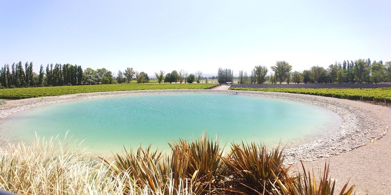 Mendoza Private Tour - Maipu wine tasting tour