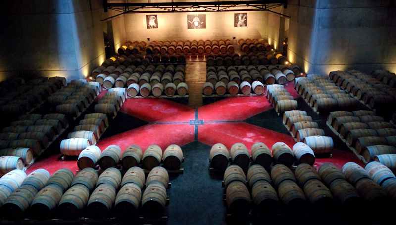 Mendoza Private Tour - Uco Valley Wine Tour