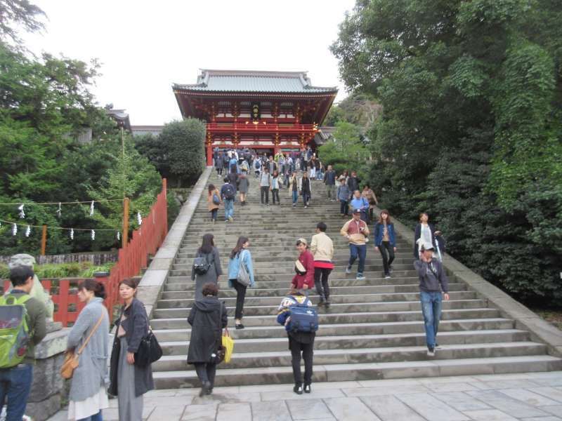 Kamakura Private Tour - Tsurugaoka Hachimangu shrine