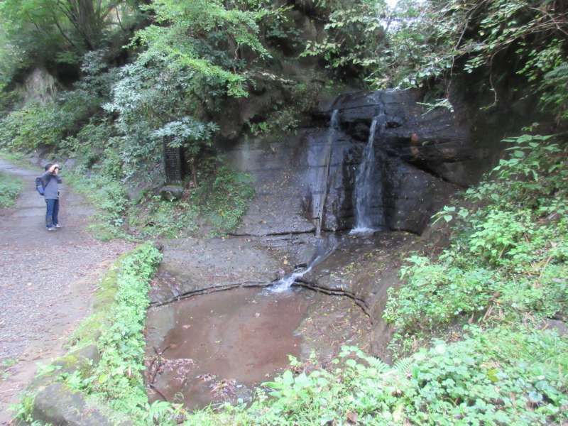 Kamakura Private Tour - Water fall of Saburo