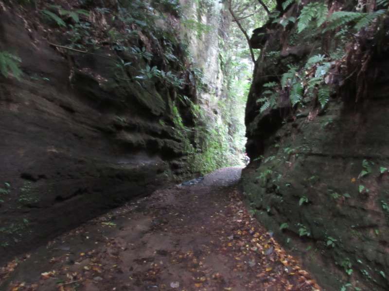 Kamakura Private Tour - Asahina Kiri Doshi