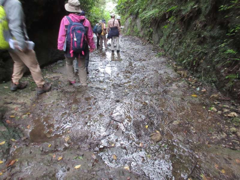 Kamakura Private Tour - Near Asahina Kiri Doshi