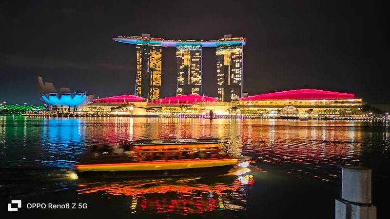 Singapore Private Tour - MBS night scenery