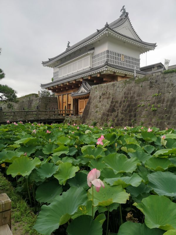 Kagoshima Private Tour - Former Castle Gate