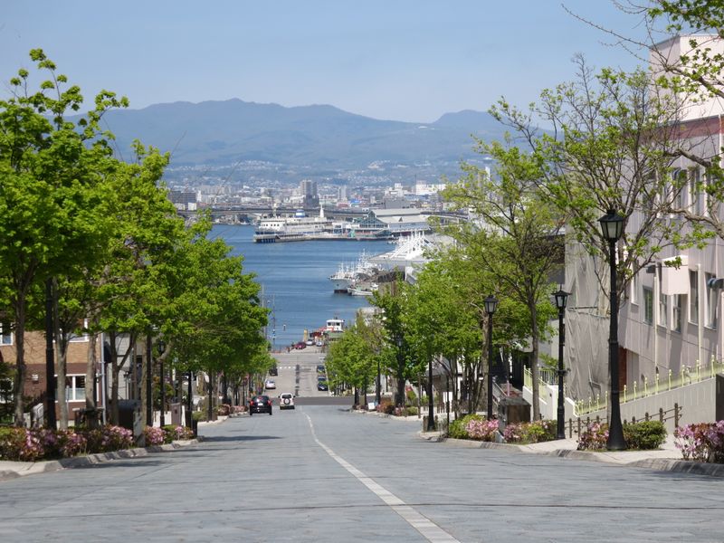 Hakodate Private Tour - Must see photo spot