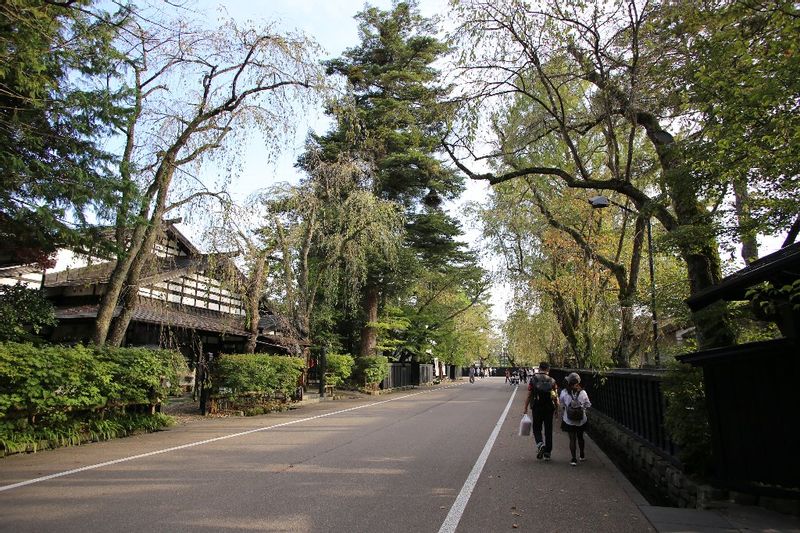 Akita Private Tour - Kakunodate Samurai Street