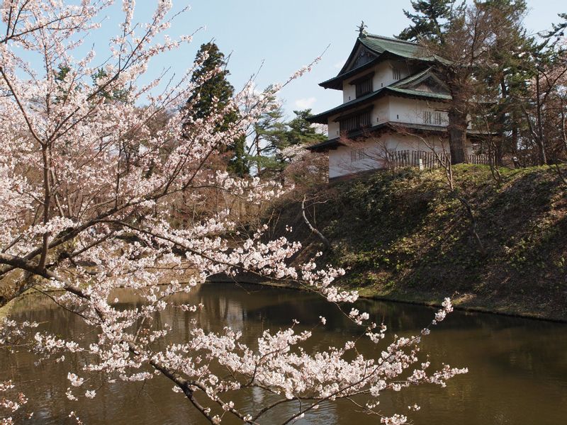 Aomori Private Tour - Watching tower