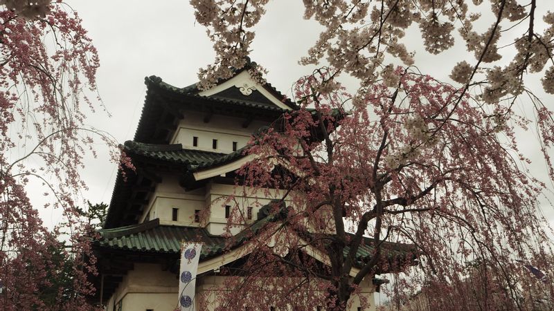 Aomori Private Tour - One of 12 remaining castle towers from Edo period in Japan