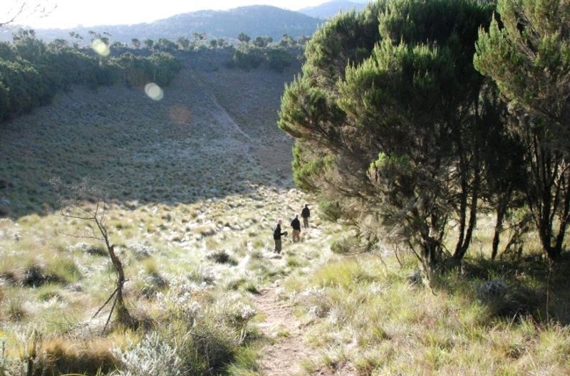 Kilimanjaro Private Tour - Maundi Crater