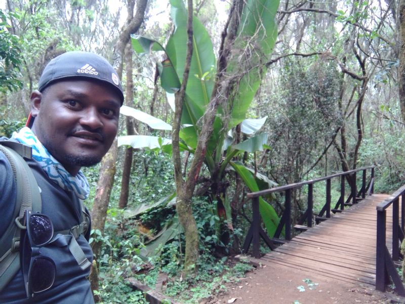 Kilimanjaro Private Tour - Marangu Route Nature Trails