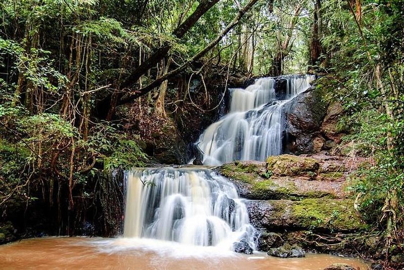 Nairobi Private Tour - Karura Forest with waterfalls and mother nature!