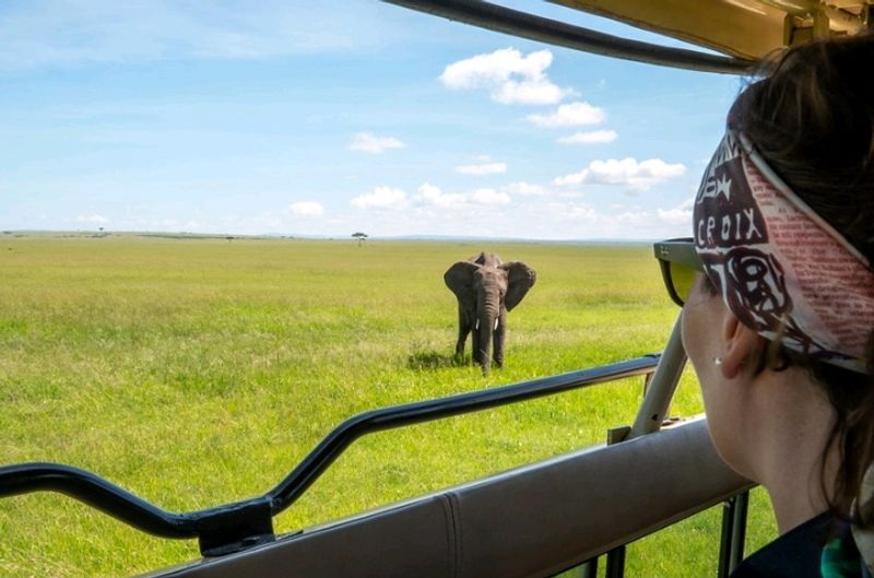 Arusha Private Tour - Elephants