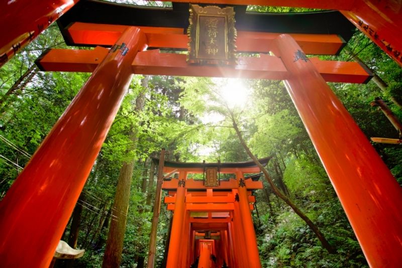 Kyoto Private Tour - A mysterious shrine with a thousand torii gates