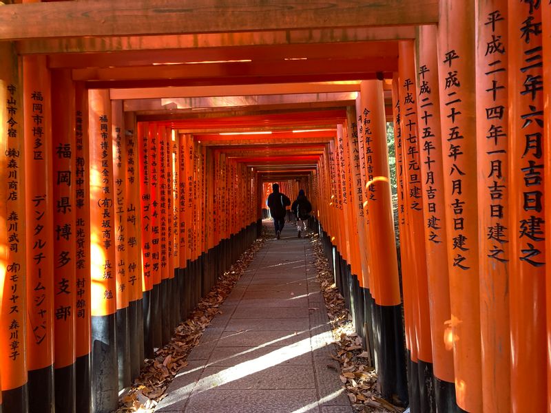 Kyoto Private Tour - Tunnel of Torii gates