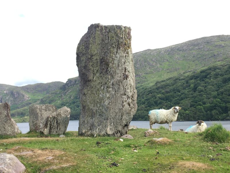 Killarney Private Tour - Uragh Stone Circle