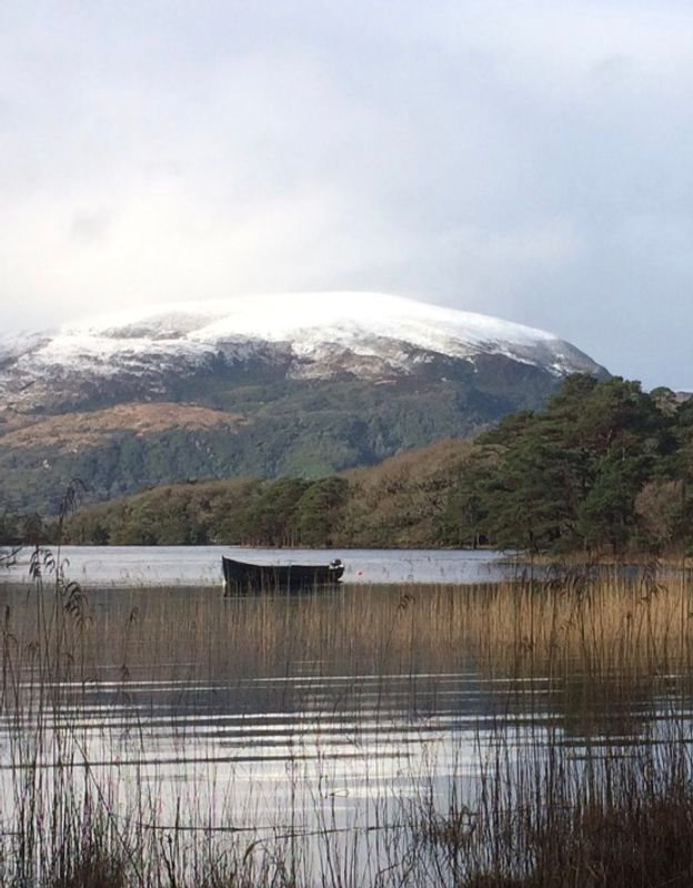 Killarney Private Tour - Killarney National Park