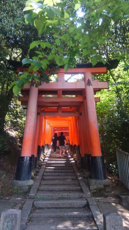 Kyoto Private Tour - Fushimi Inari shrine, the most popular tourist site in Kyoto