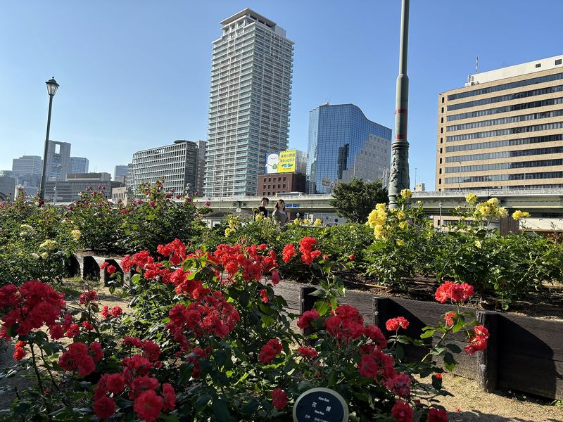 Osaka Private Tour - Nakanoshima Rose Garden