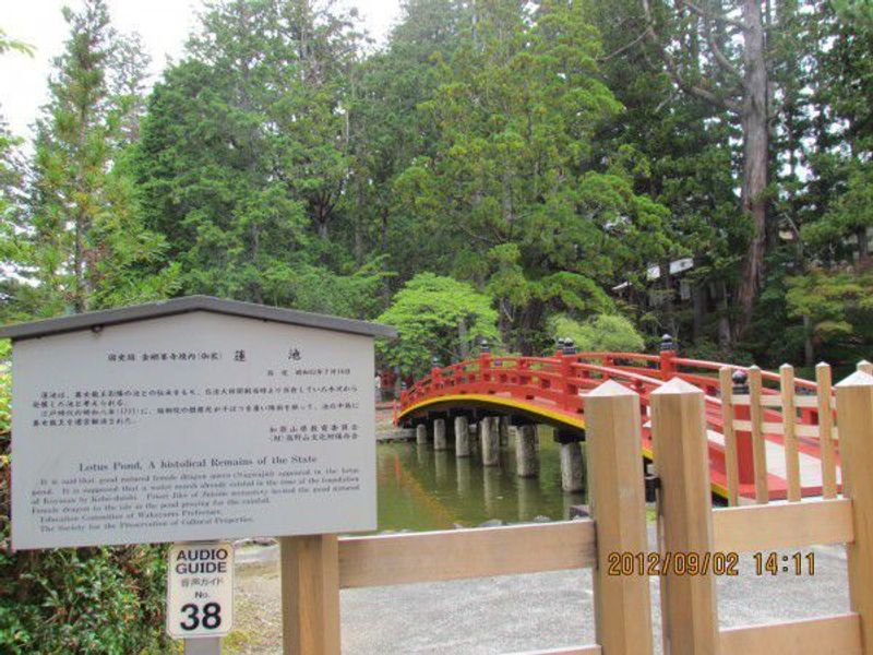 Osaka Private Tour - Hasu-ike pond