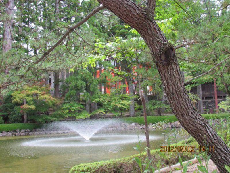 Osaka Private Tour - Hasu-ike pond