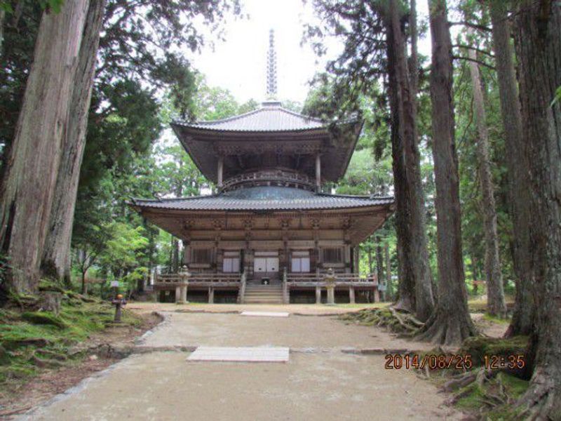 Osaka Private Tour - Saito or West pagoda