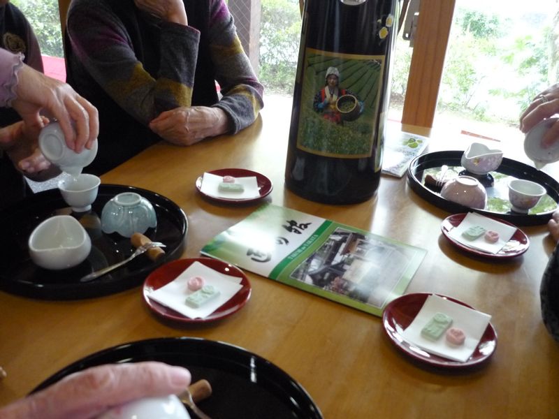 Nara Private Tour - Try to taste Matcha ,Gyokuro and Sencha