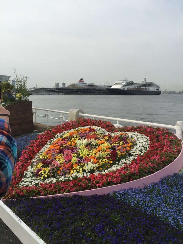 Kanagawa Private Tour - Viewing the big pier from Yamashita park