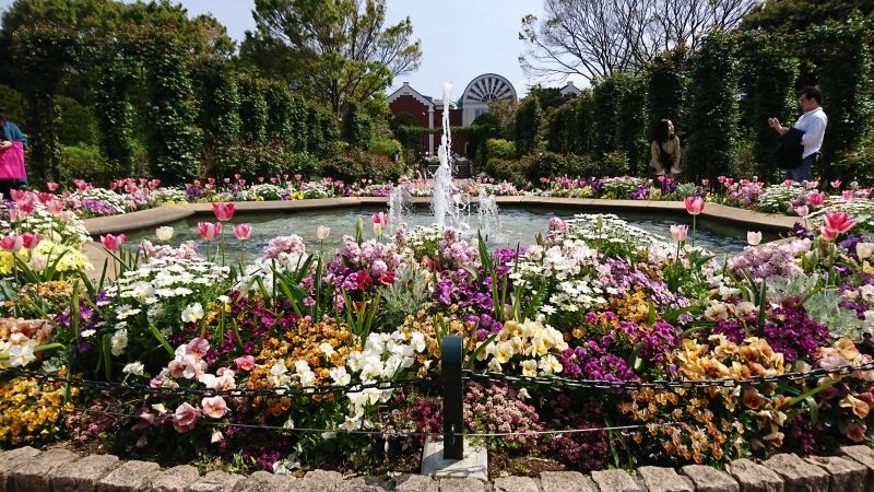 Kanagawa Private Tour - English garden at Harber view park