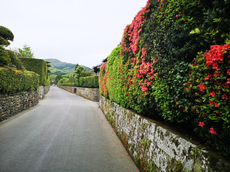 Kagoshima Private Tour - Samurai resident main street