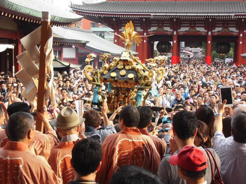 Tokyo Private Tour - Sanja Festival of Asakusa Shrine