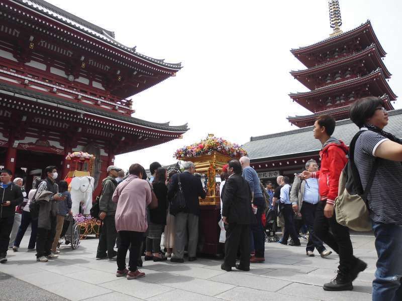 Tokyo Private Tour - Flower Festival at Senso-ji Temple on April 8th (Buddha's Birthday)