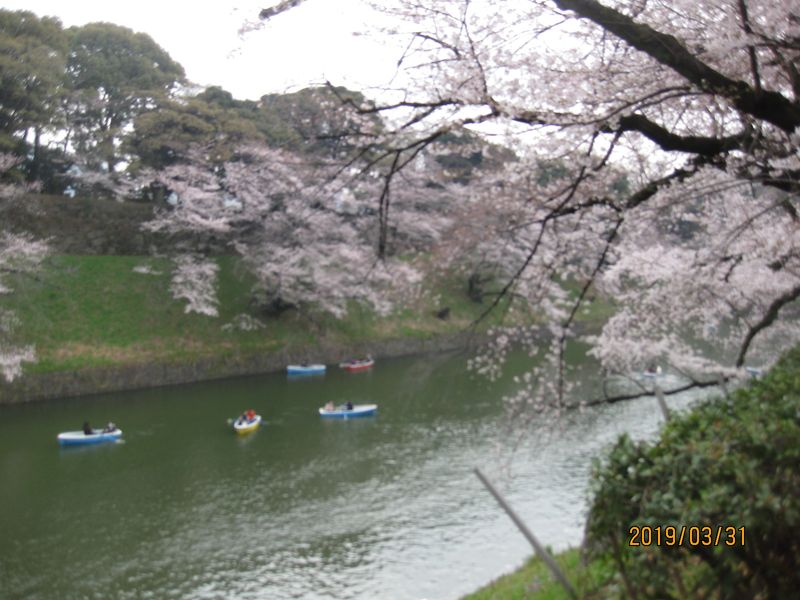 Tokyo Private Tour - Anciennes douves intérieures du château d’Edo