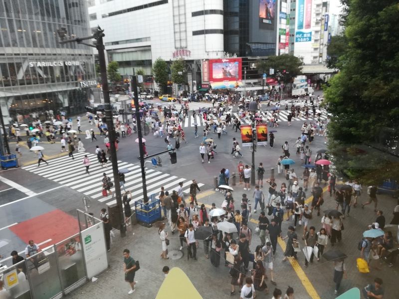 Tokyo Private Tour - Carrefour de Shibuya