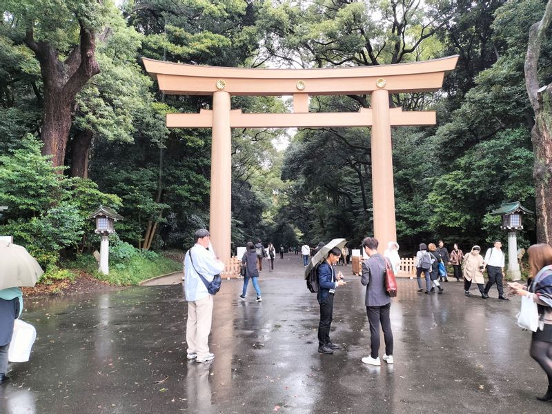 Tokyo Private Tour - Sanctuaire Meiji dans la forest