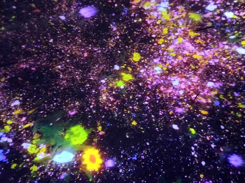 Tokyo Private Tour - Un travail de TeamLab.