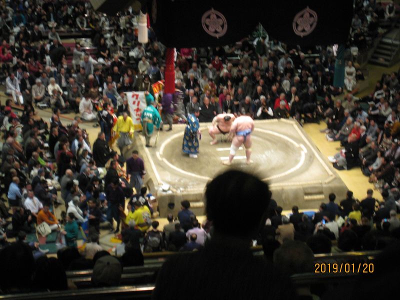 Tokyo Private Tour - Match de sumo