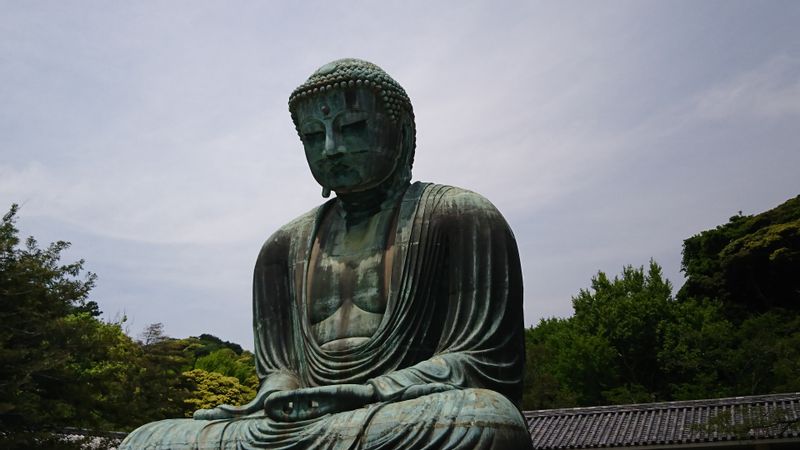 Kamakura Private Tour - Big Buddha at Koutoku-in temple