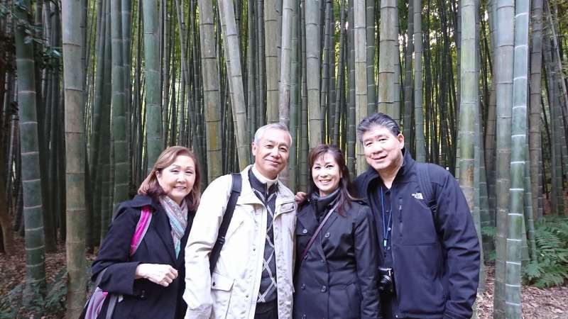 Kamakura Private Tour - Bamboo grove at Hoh-koku-ji temple