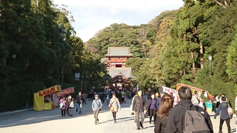 Kamakura Private Tour - Tsurugaoka-Hachiman-gu 