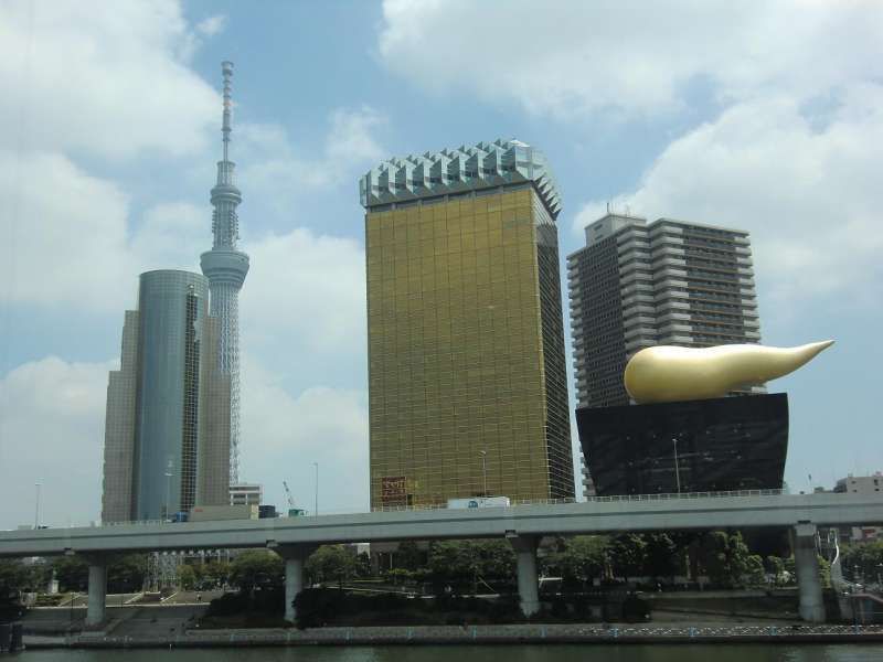 Tokyo Private Tour - The view from Asakusa