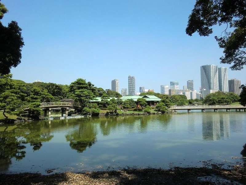 Tokyo Private Tour - Hama-rikyu Gardens