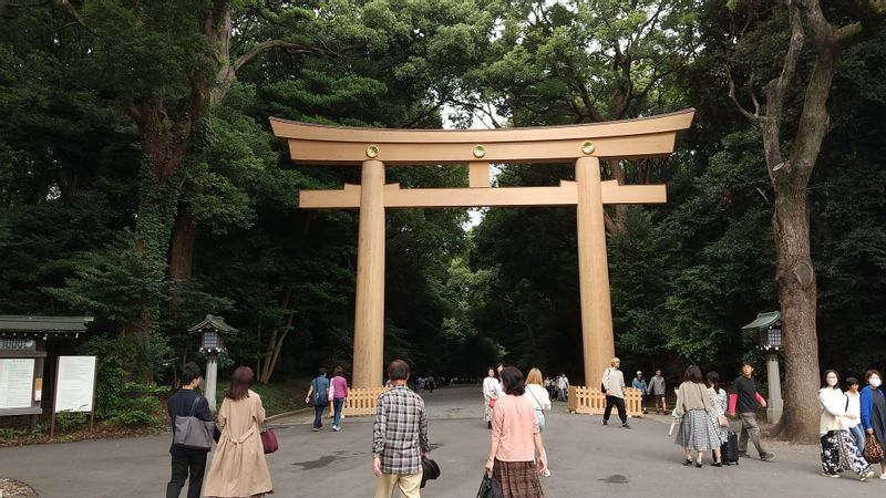 Tokyo Private Tour - The first Torii gate of Meiji Shrine