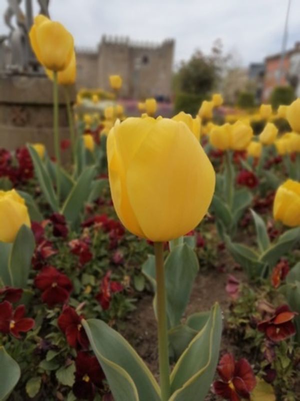 Porto Private Tour - Bishop's garden in Braga