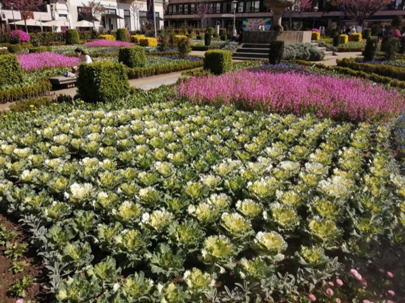 Porto Private Tour - Bishop's garden in Braga, it's fantastic !!!