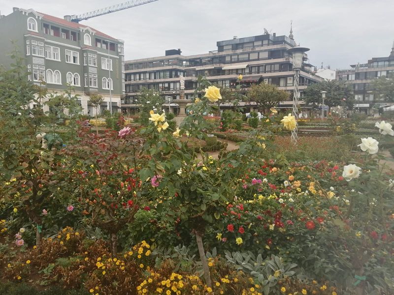 Porto Private Tour - Bishop's garden in Braga