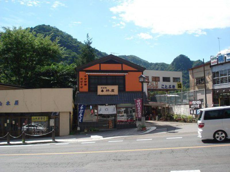 Nikko Private Tour - Hayashiya Restaurant for Lunch  (soba noodles and rice bowls)