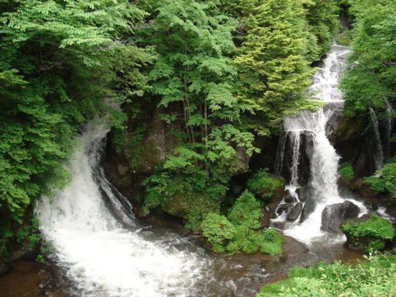 Nikko Private Tour - Ryuzunotaki waterfall